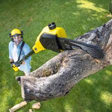 Best Commercial Tree Services  in West Bishop, CA