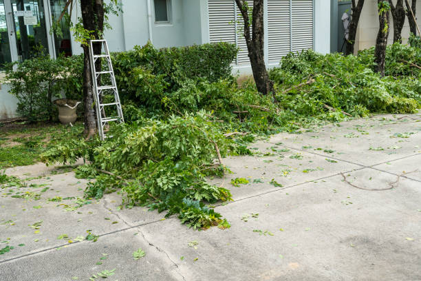 Best Utility Line Clearance  in West Bishop, CA